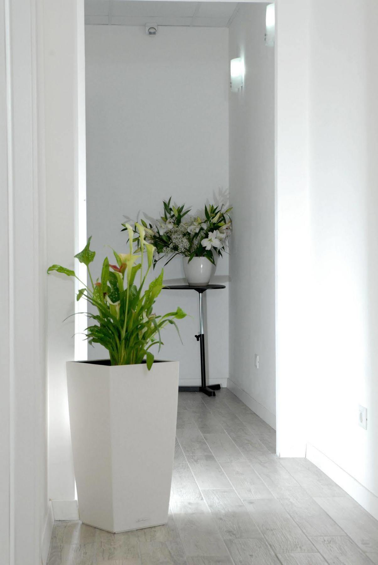 Gardenia Suite Rome Buitenkant foto